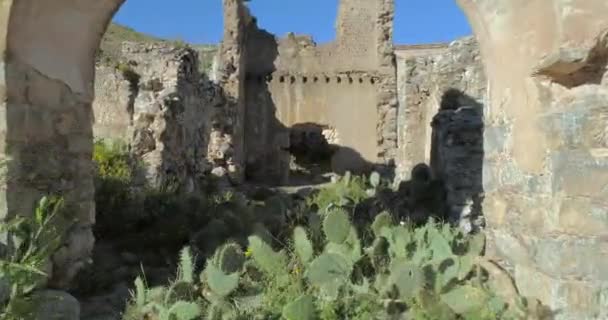 Drone Dolly Una Ruina Con Cactus Pueblo Fantasma Real Catorce — Vídeos de Stock