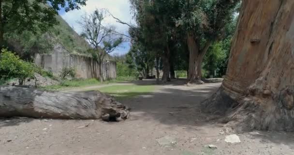 멕시코 산루이스 포토시 Real Catorce Mina Espaola Masonica 드론에 — 비디오