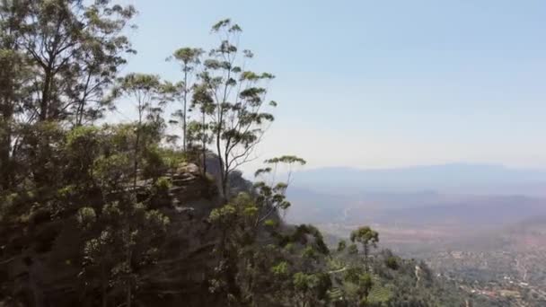 Kenyai Taita Hills Zöld Buja Tájai Légi Felvételek — Stock videók