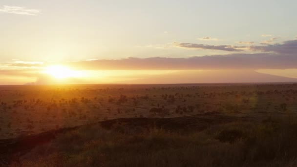 Время Захода Солнца Видом Килиманджаро Tsavo West Кения — стоковое видео