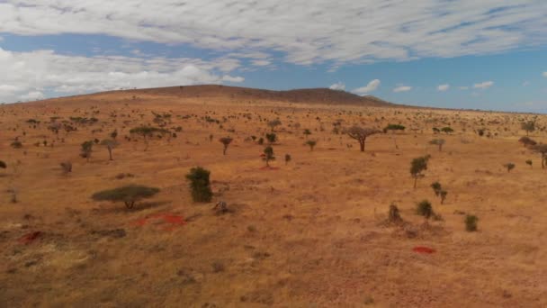 Kenya Daki Lions Bluff Lodge Yakınlarındaki Tsavo West Hava Görüntüleri — Stok video