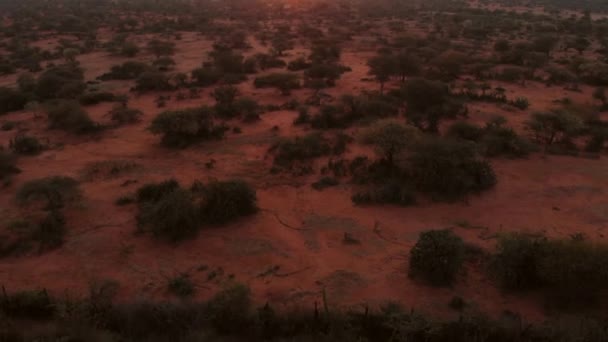 Sunrise Lodge Maasai Samburu Land Kenya Aerial Shots — Stock video