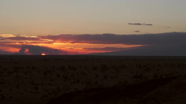 Pôr Sol Atrás Kilimanjaro Visto Tsavo Oeste Quênia Tiro Portátil — Vídeo de Stock