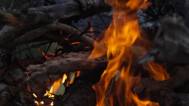 Campfire Sunset Campsite Pejeta Kenya Shot Handheld Slow Motion — Stok video