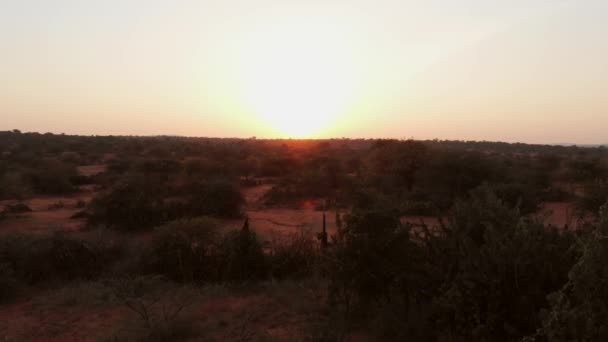 Sunrise Lodge Maasai Samburu Land Kenya Aerial Shots — Stockvideo