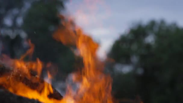 Campfire Sunset Campsite Pejeta Kenya Shot Handheld Slow Motion — Stok video