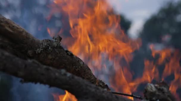Campfire Sunset Campsite Pejeta Kenya Shot Handheld Slow Motion — Stockvideo