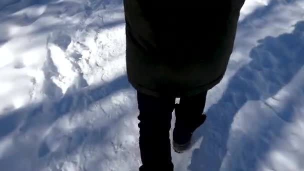 在白雪皑皑的路径上行走的人 — 图库视频影像