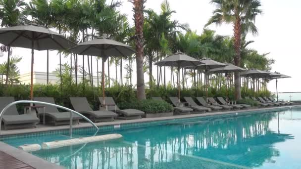 Lounge Area Next Pool Palm Trees Resort — Stock video