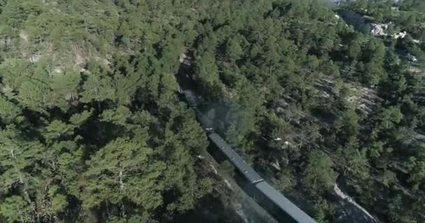 Chepe火车经过奇瓦瓦州铜峡谷区Divisadero森林时的空中射击 — 图库视频影像