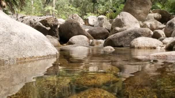Чистый Горный Ручей Водопад Рябь — стоковое видео