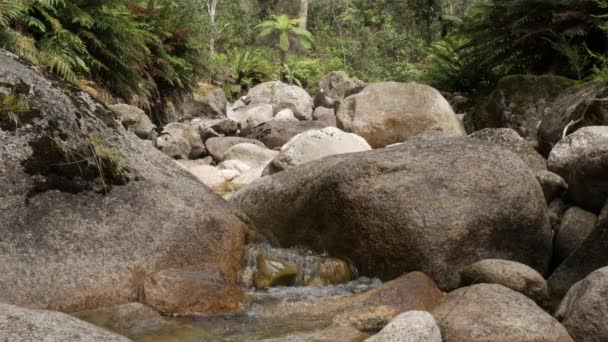 Vista Río Arriba Del Arroyo Rocoso Montaña — Vídeo de stock