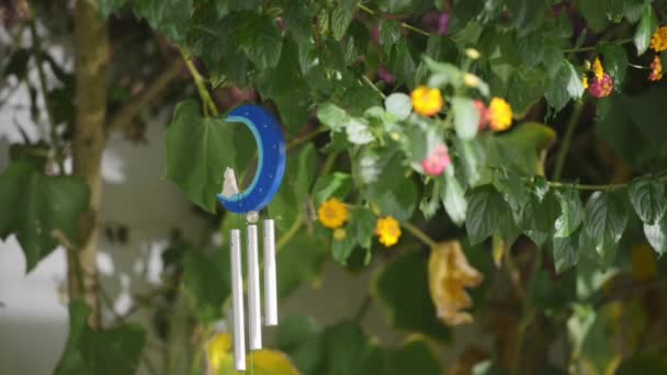 Cat Moon Wind Chime Shot Outdoor Light Reflections — Stock Video
