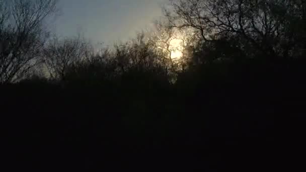 Hareket Halindeki Bir Trenin Güneş Işığıyla Kurak Manzaranın Görüntüsü — Stok video