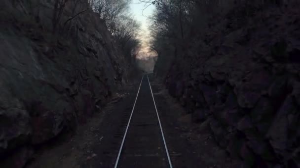 Punto Vista Tren Movimiento Que Pasa Través Paisaje Miedo Estrecho — Vídeo de stock