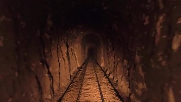 Pov Moving Train Passing Narrow Tunnel — Vídeo de Stock