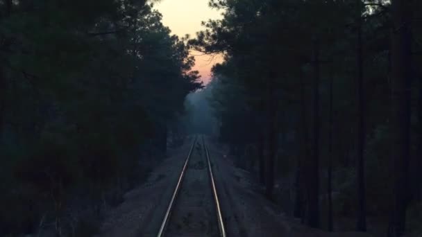 Pov Cheep Train Passing Forest Dawn — стоковое видео