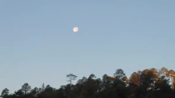 Widok Księżyc Jadącego Pociągu Barrancas Del Cobre Chihuahua Meksyk — Wideo stockowe