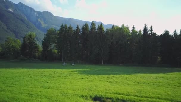 Strzał Drona Dwóch Dziewczyn Jadących Koniach Przez Pole — Wideo stockowe