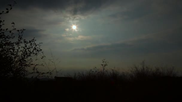 Tempo Giri Nuvole Sera Vista Angolo Basso Piccolo Albero Giuggiola — Video Stock