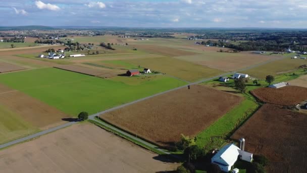 Lovak Legelésznek Pajtából Légi Panoráma Nyílik Pennsylvania Vidéki Vidékére Lancaster — Stock videók