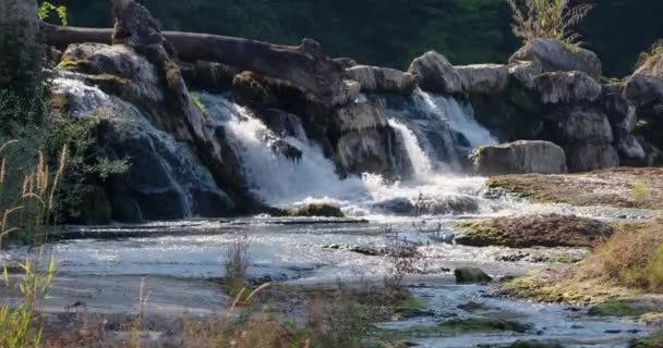 小さな滝水が浮かぶ — ストック動画