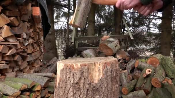 スローモーションで木を切る男 — ストック動画