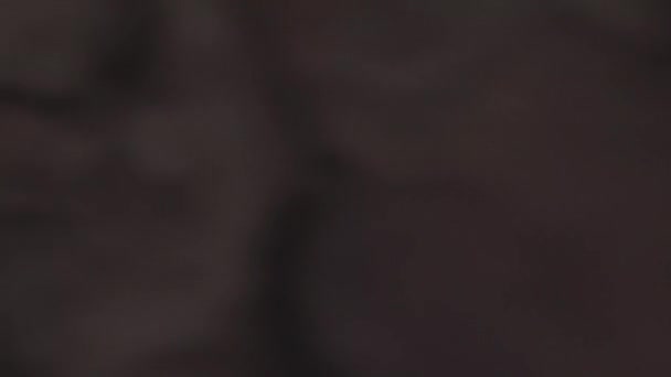 Королівський Палац Кафедральний Собор Альмудена Мадриді Збільшили Зображення Площині Колод — стокове відео