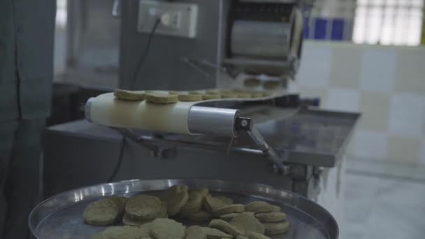 Visa Burger Patty Bildar Produktionslinje Fabrik — Stockvideo