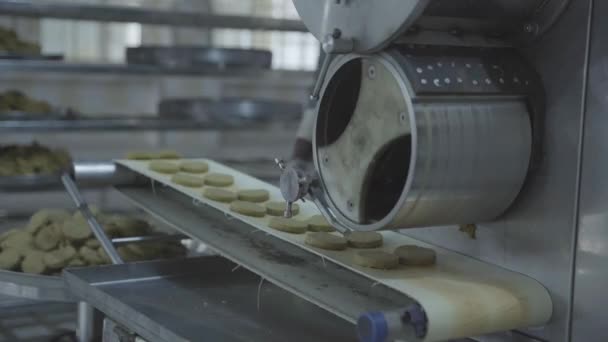 工場で生産ラインを形成するハンバーガーパティを表示 — ストック動画