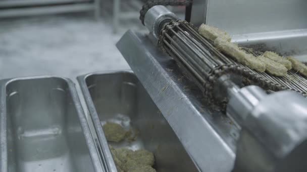 Close View Burger Patty Forming Production Line Factory — Stock Video