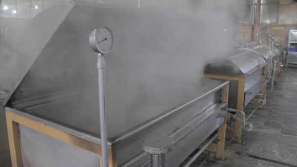 Ready Meal Production Line Factory Read Meal Steaming Machine Opening — Stock Video