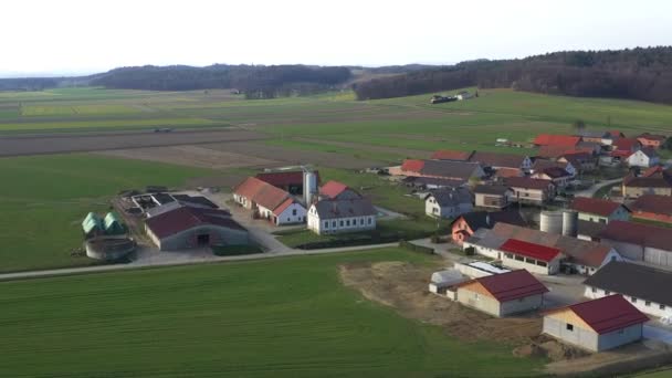 Husdyrbrug Mælkeproduktionsbedrifter Lille Landsby Europa Levanjci Destrnik Amt Slovenien Udsigt – Stock-video