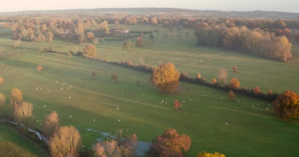 Široký Letecký Pohled Godinton House Park Pozemek Nachází Ashford Kent — Stock video