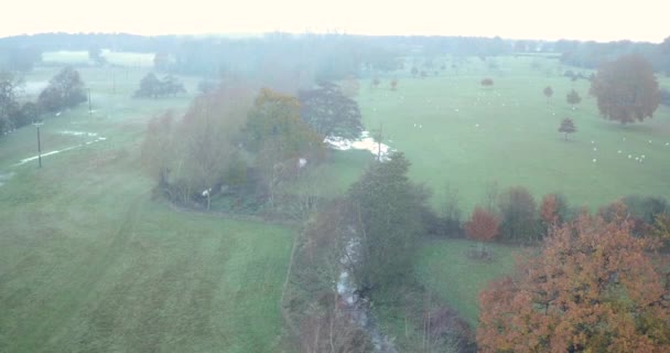 Aerial View Tracking Meander River Stour Kent — Stock video
