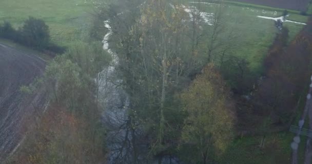 Luftaufnahme Über Den Baumwipfeln Des Flusses Stour Seiner Landschaft Kent — Stockvideo