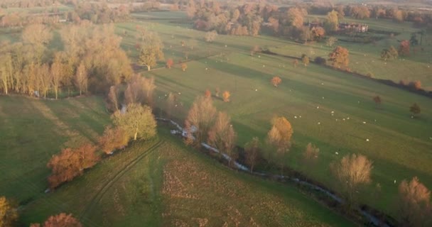 Széles Légi Kilátás Godinton House Park Található Ashford Kent Egyesült — Stock videók