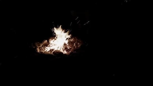 Campfire Burns Brightly Night — Stockvideo