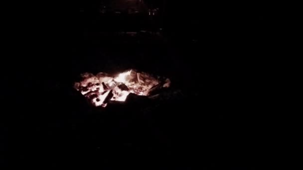 Ein Kleines Lagerfeuer Brennt Der Nacht — Stockvideo