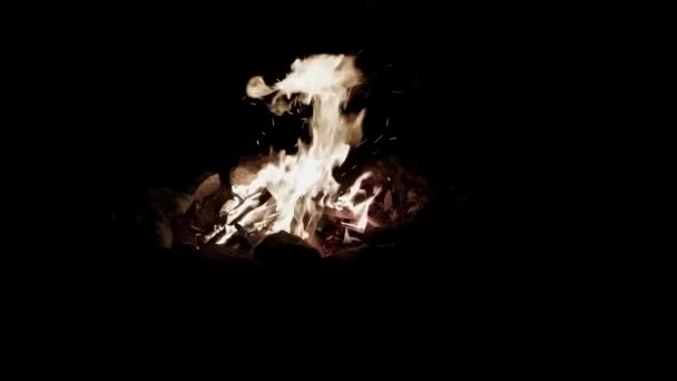 Campfire Burns Brightly Night — Stockvideo