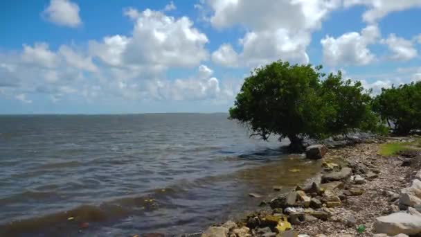 Costa Mar Sujo Isabela Sagua — Vídeo de Stock