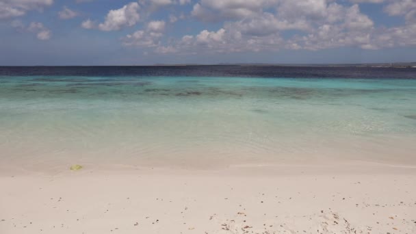 Den Vita Sanden Donkey Beach Bonaire — Stockvideo