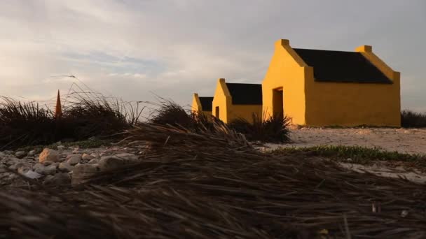 Red Slave Huts Bonaire — Stok video