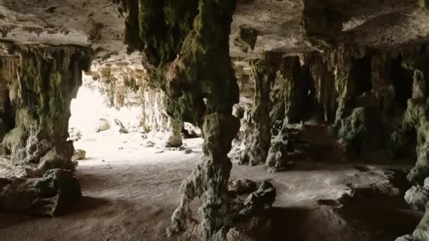 Caves Old Inscription Indians Who Lived Bonaire — Stockvideo