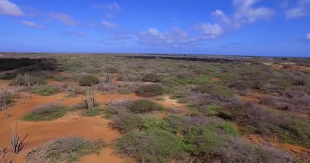 Les Mangroves Lac Bay Coucher Soleil Sur Bonaire — Video