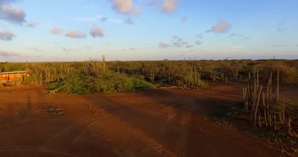 Mangroves Lac Bay Timpul Apus Soare Bonaire — Videoclip de stoc