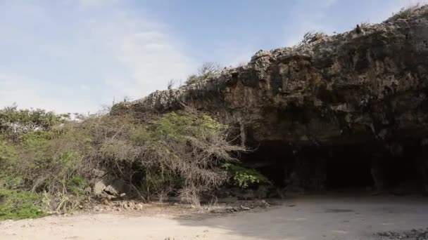 Caves Old Inscription Indians Who Lived Bonaire — ストック動画