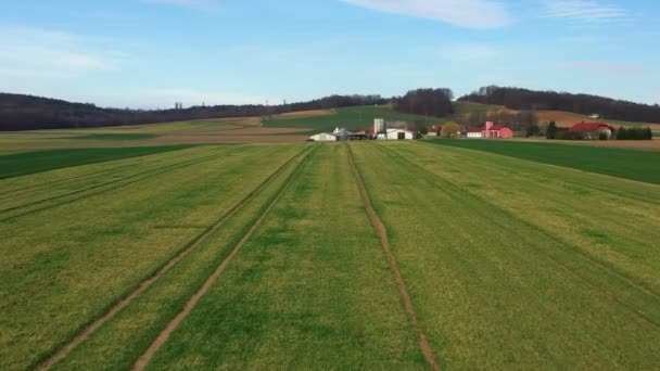 Europen Farmland Wheat Field Spring Farm Village Background Aerial Landscape — 비디오