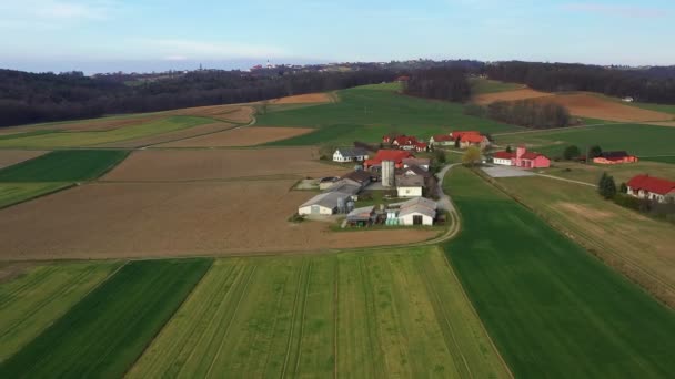 Villaggio Desenci Slovenia Nelle Pianure Panonniche Campagna Rurale Dell Europa — Video Stock