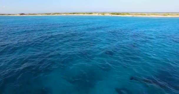 Delfini Kitebeach Atlantis Bonaire — Video Stock